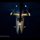 Illustration for article titled Watch A B-1B Refuel And Thank The Tanker With A Gorgeous Burner Break